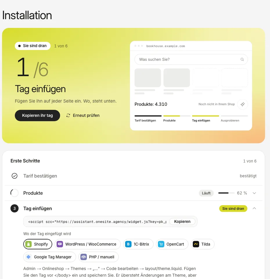 Der Bereich „Installation“: Ihr Tag mit der Schaltfläche „Kopieren“ und eine Liste von Plattformen, die sagt, wo er eingefügt wird.