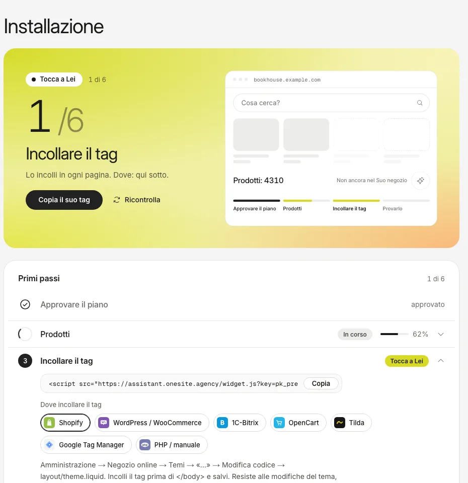 La scheda Installazione: il tuo tag con un pulsante Copia e un elenco di piattaforme che dice dove incollarlo.
